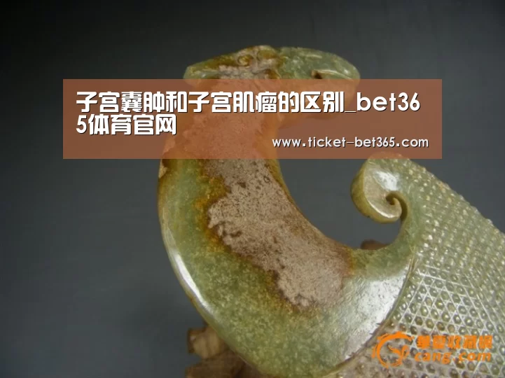 bet365体育投注