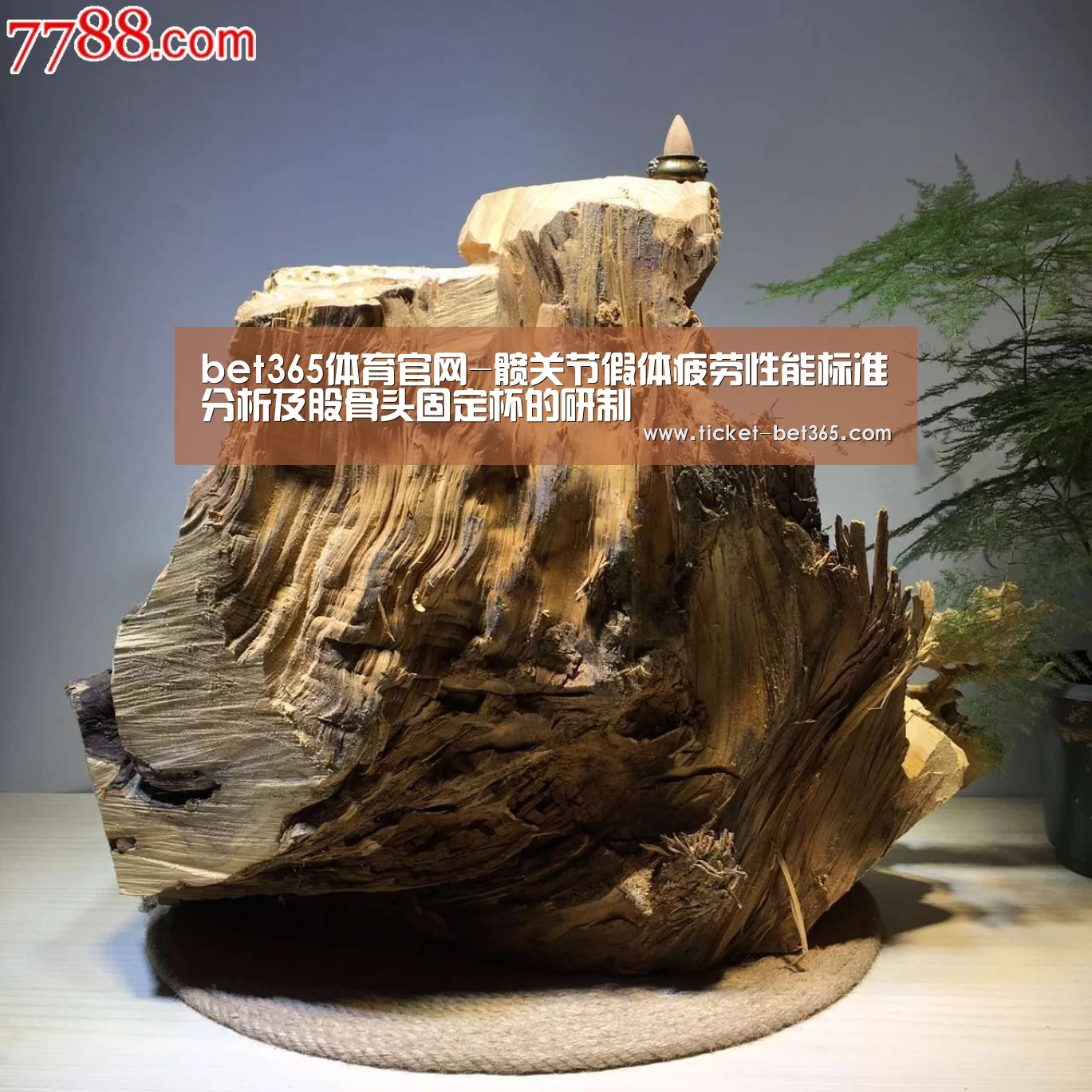 bet365体育官网